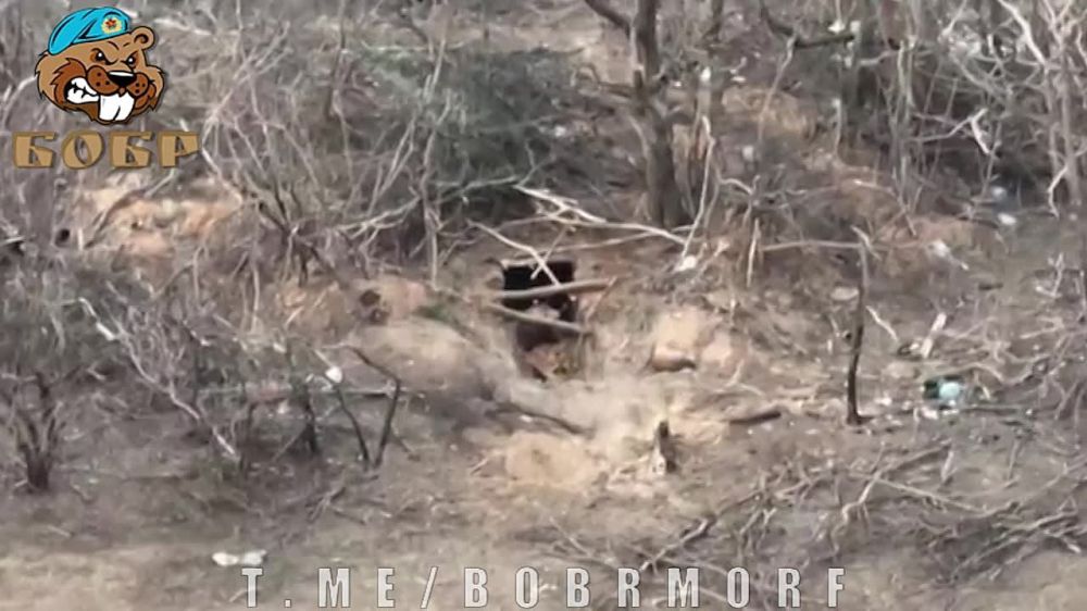 ������ FPV-����� �� ������ � ���������� �������