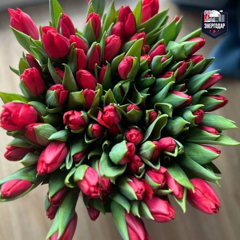 ������ ����, ������!. ����� ����������� ���� ����� ����� ���������� � �������������! ������� �������, �� ����������� ��� �...