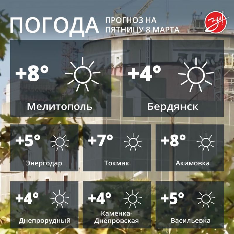 ������ ����, ������!. ���� ������� ���� ���������