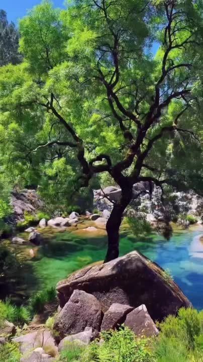 ������ �������: ������-����� � ������������ ���� �� ������ ..........., � ��������� �����