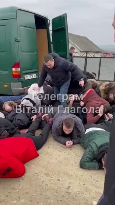 ���������� ������������ �������� 34 ��������, ������� �������� ������� � �������