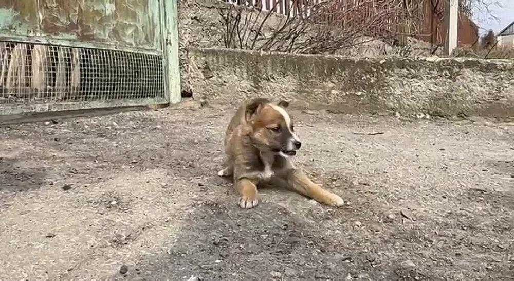 � ����� 8 ����� �������� ����� ��������� � ���������� ��� ����� �������� ������� ������������� �������������� ������ ����������� �������