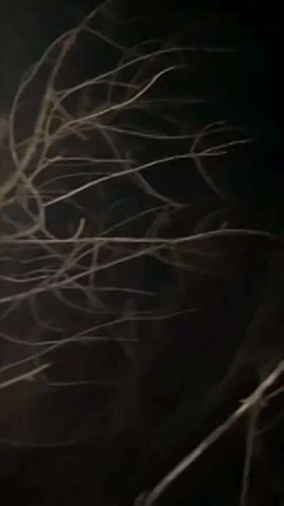 �������� �����: ����� ������ - �������� �� ����