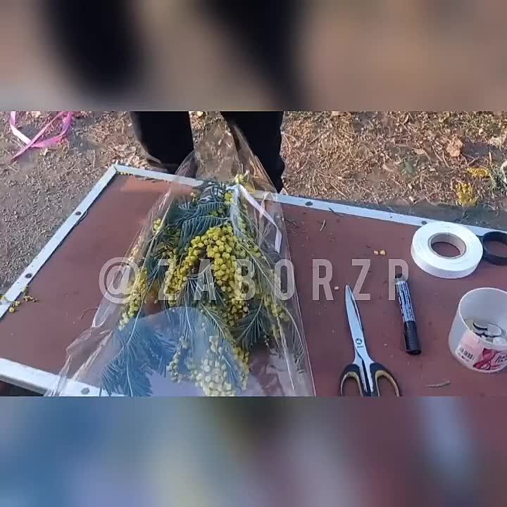 ��� ������ � ���� �����, ��� ��� ��, ��� ��������� ��������� 8 ����� � �������� ����� �������� �����