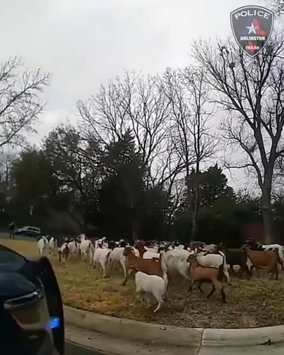 � ������ �� ����������� ������� ����� ���, ������ �� �� ������ �������� �����������