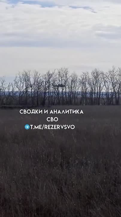 ����������� ����������� "����������� ������" ������ ��������� ������� "������������" �� ���������� �������� ���������