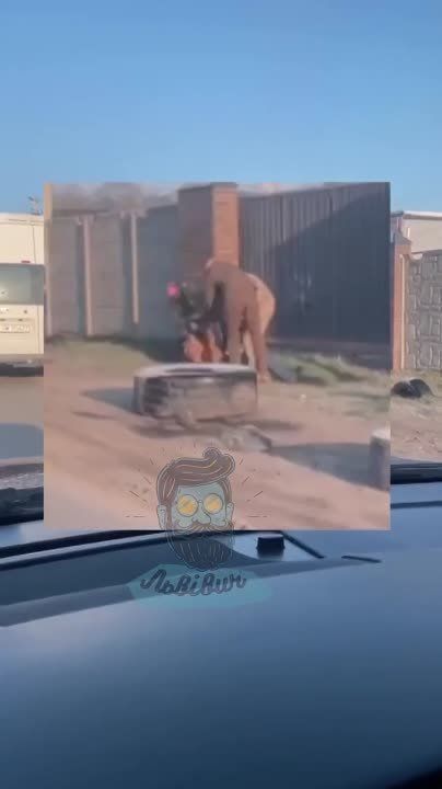 �������. �������� ���������� � ��������� ������� ��������� ���� � ���������� ����������