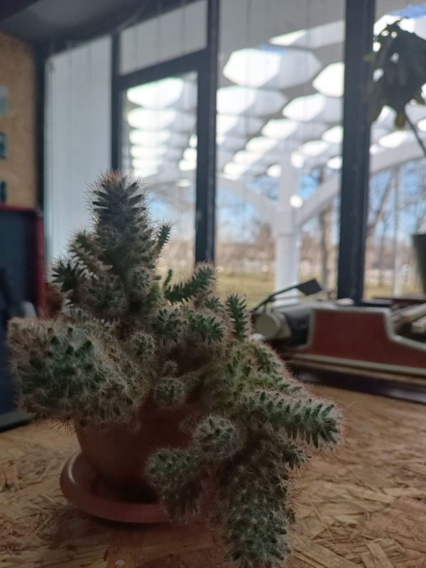 ������� ��� �������, ��� ������ ��������� � ����-�� ����������