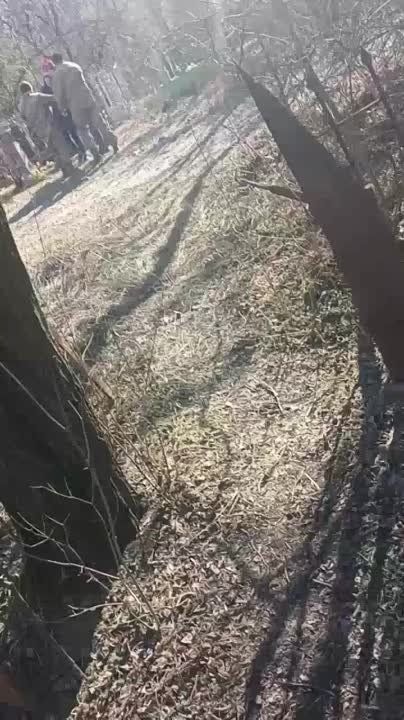 ������� �����, ���������� ����� �� ����� �����������