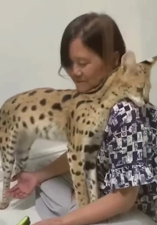 ������ ����� �� ������� ��� ����� �� �������
