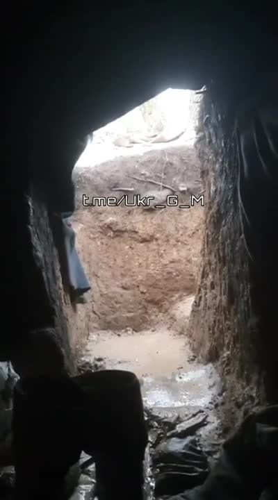 �������� �����: ������ ����. ���������� ������� ������ ����� �� ������������� ��� �� ����������� �����������