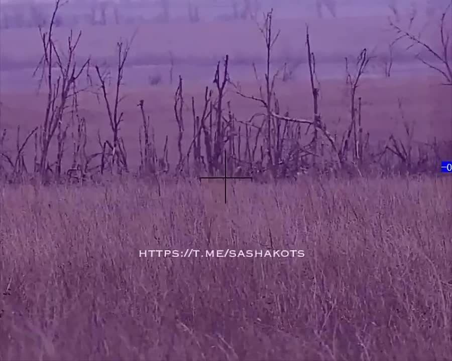 ����� �����: ����������� ������ �� ���