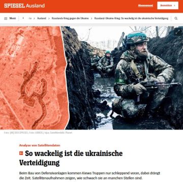       Der Spiegel