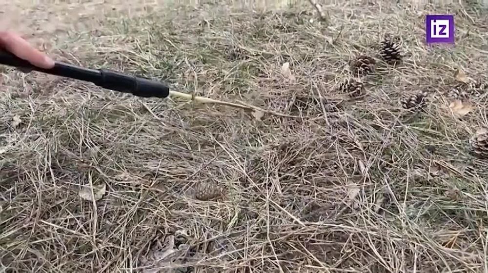 "�� ��� ����� � ��� �� ����������": ������ ��������, ��� ������������� ������������� ������������ ����