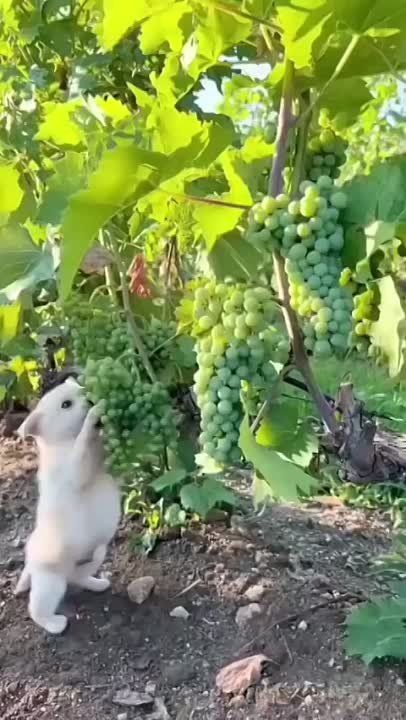 ������ �������: ��������� �������� ���������