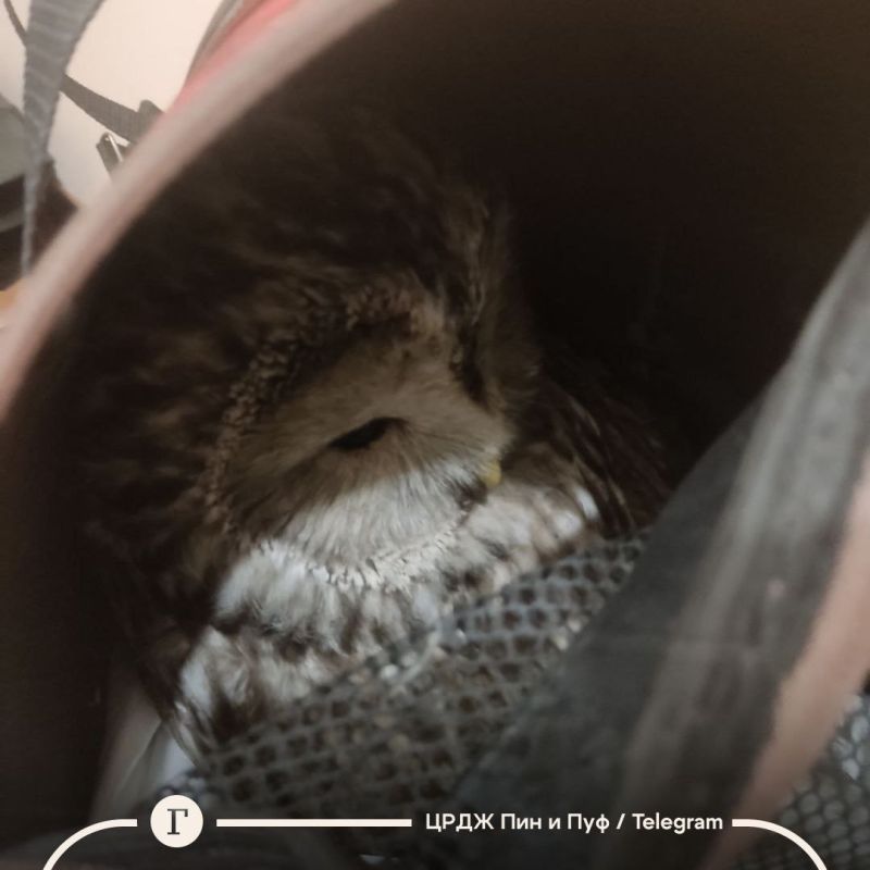 ������ ��������� ���� � ���������� ������� ����� ��������