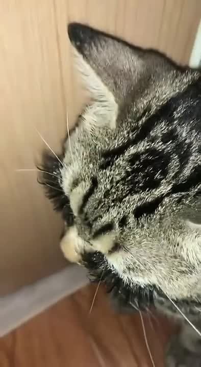 ��: ����� ������� ������ � �����?�