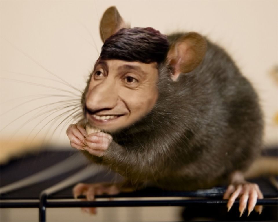 ����� � ��������� ������� ������������� ��� ��������� � ��������� ���������� ������� ��������� ����������, �������� ������������� ������� �������� ��