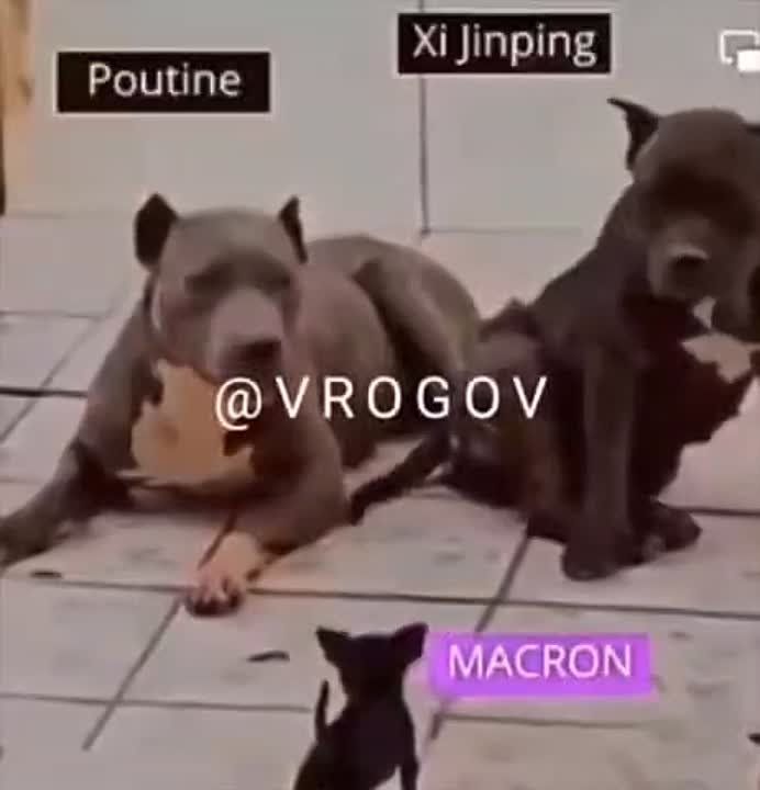 �������� �����: ����������� �� 11 ������