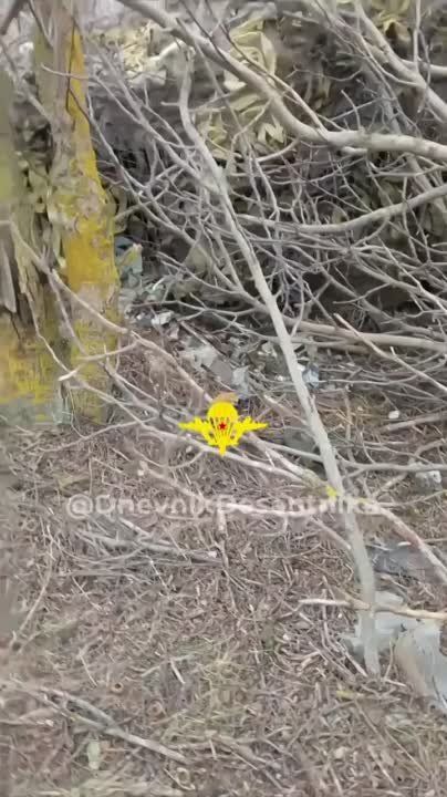 ������� ������ ���������� ��� �� ��-28 "������ �������" ������� �������� �� ��������� �������� �� ����������� ����������� � ������ ��������-��������