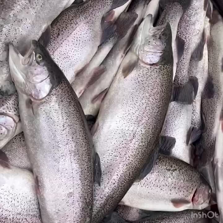 ������ ����������, ����������� � �������� �������, ����� �������� ������ ������, ����� � �����!