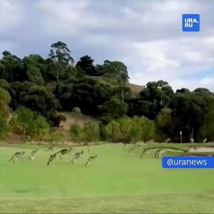 ����� ������� ��������� �����-���� � ���������
