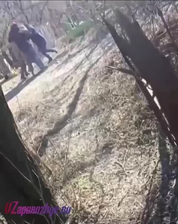 ���� ���� �������� ������� ����������� �������, ��� ����, ���������� ������ ����, ������� �� ����� ������ �������