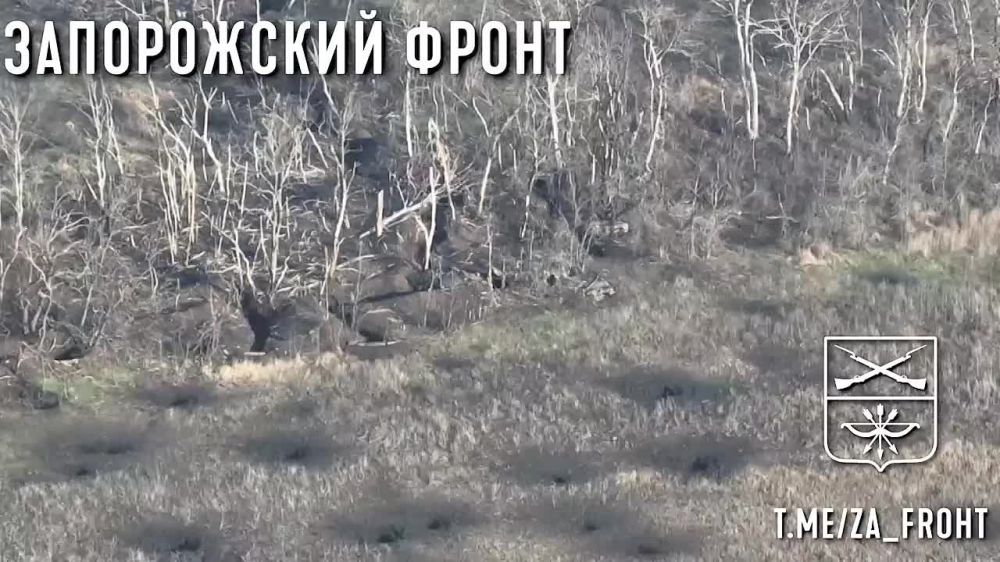 ������ ������ ������ ������� �� 40 �� ����������� �����������