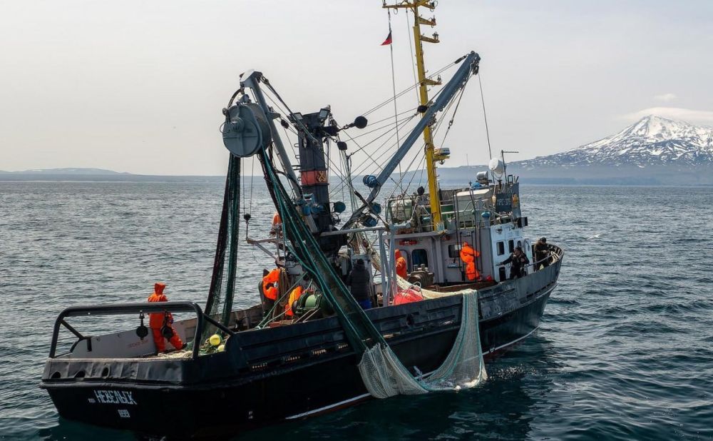 �������� ����� ������������ ���������� � ��������� � ����������� � ���������� ����