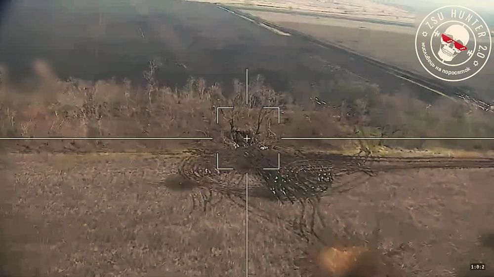 ����� �����: ����������� �����������, ������ ��������� 22 ��� ���