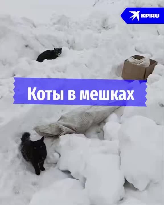 ����� � ������ ����� � ���� ��������