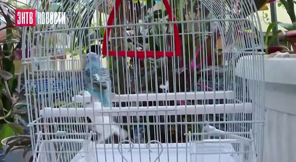 � ������� �������������� ����� ���������� �������� ������