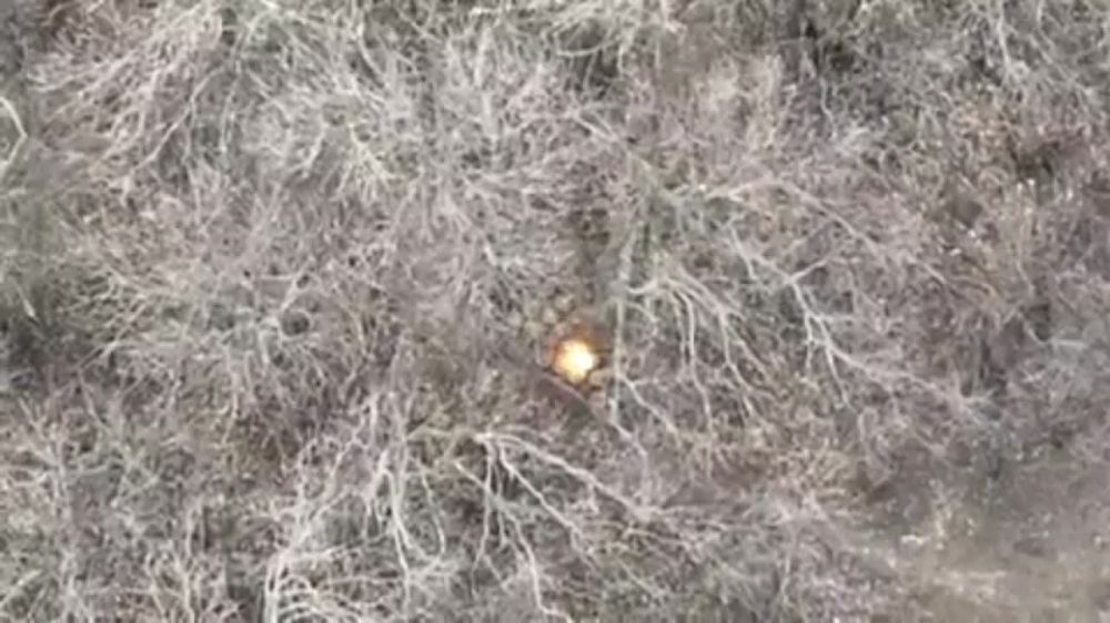 ������� �������: ��������� ��������� ������� ���� ������� ��������������� ������� ������, �� ��� ���� ��������! ��� �������...