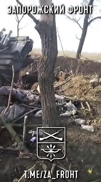 ����� ��� ������ ������ � �������, ��� ������ ���� ����