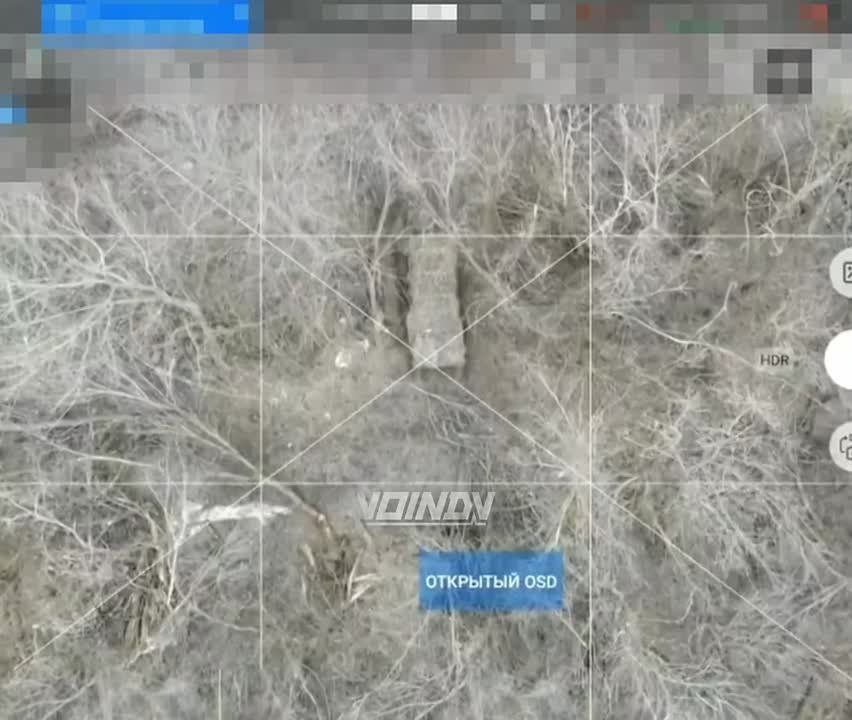 ����� �����: �� ����������� ����������� ��������� 69 ������� ��������� ����������� "������" ������� � ����������� ������������ ������� �� ���� "� ���� �������� ������ ���������� ��������������"