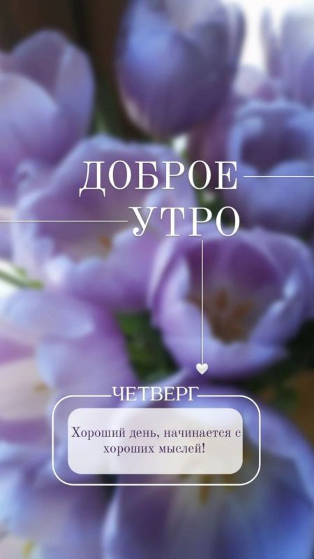 ��������� 14 �����, �������