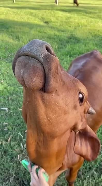 ������ �������� ������ ����� �� ����������� ������������� �� �����