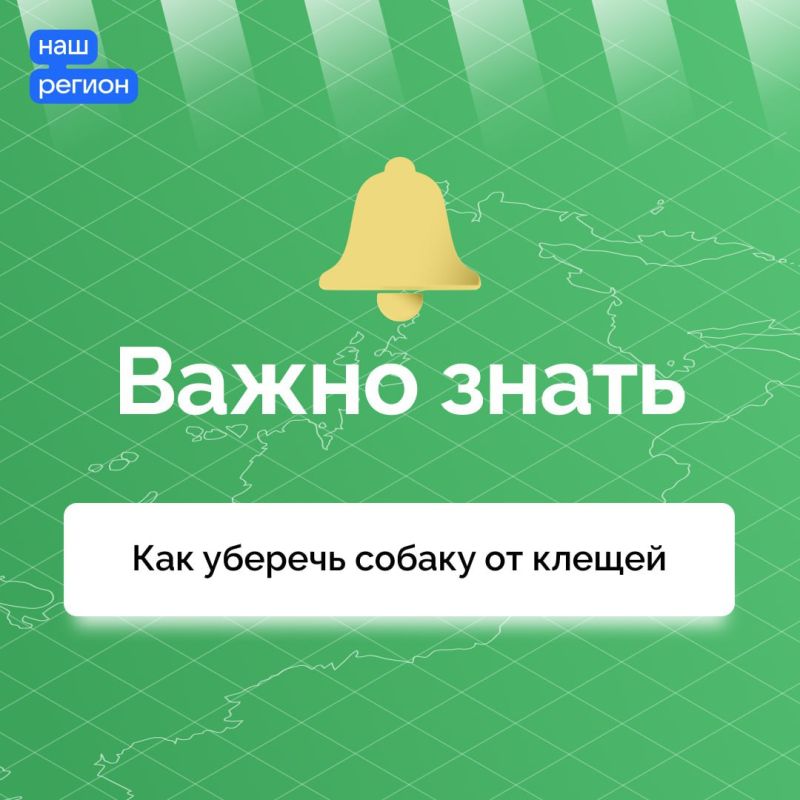 �������� ������ ���������� �����