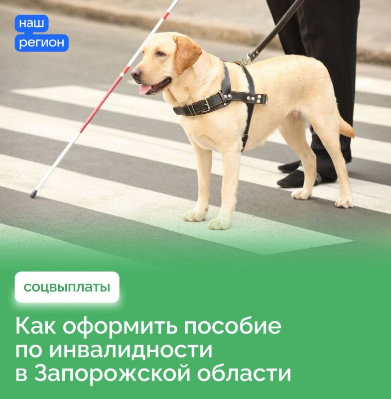 ������� �����: ������ ����������� ������� ����� �������� ����������� ���������� ������� �� ������������ � ������� 10 000 ������