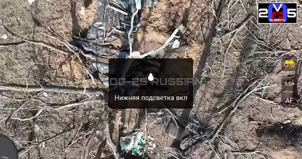 ��������. ������ �� �������� ���������� � �������, ����� �������. ����� ����� ������� ������� � ������ ��� �������� �������