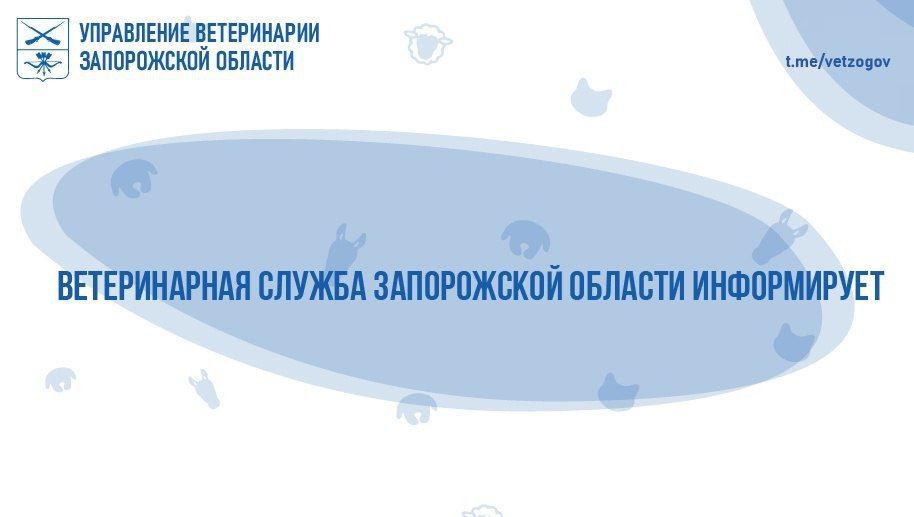 �� ���� ���������� ����������� ������� ����� ������ ������� ��� ������������� �����: