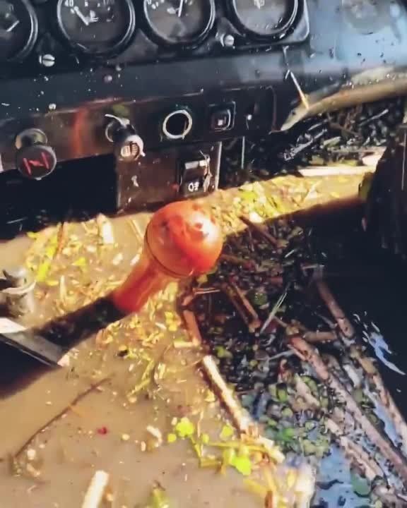 �� ��������� ���� ����