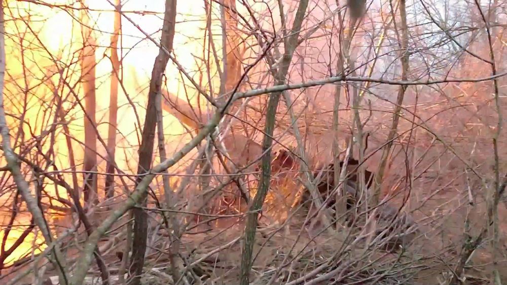 ���� ����������� ������ ������ ������� �������� ����� � ���� ��� ��� ��������