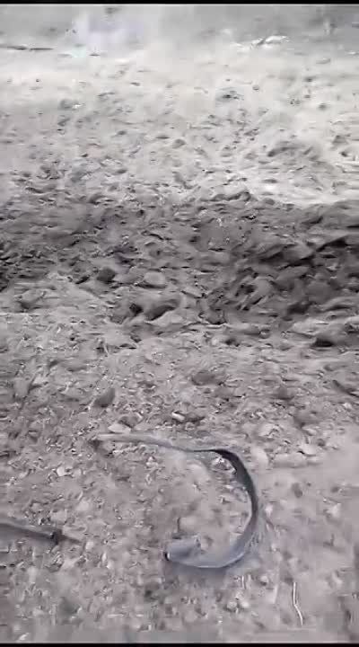 ������������ � ������������ ������ �������� �������� ���������� ��� FV103 Spartan � �������� ��� 131 ���������� ������������