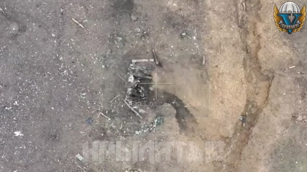 ����� �����: ����������� �����������