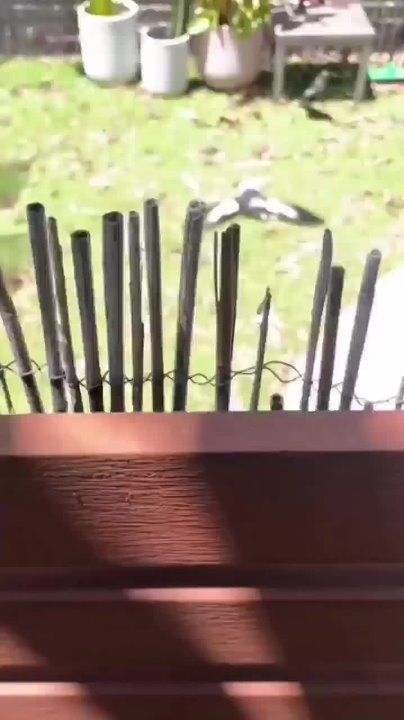 ������ ������� �����, ��� �� ������! ��� ����������� ����� � ������� ��� ������, ��� ����� ���������� �� ���������