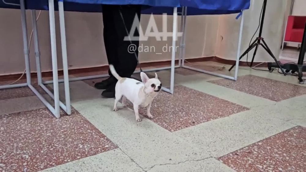 ������� ����� �������� ����� �������������� ������ �������