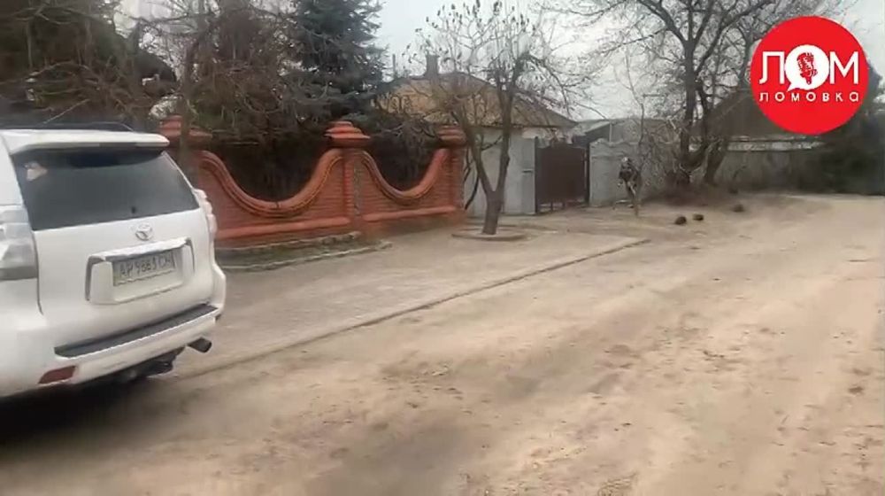���� ���������. ������������� ����������� ������ �� ����� ����������� � ����������� �������