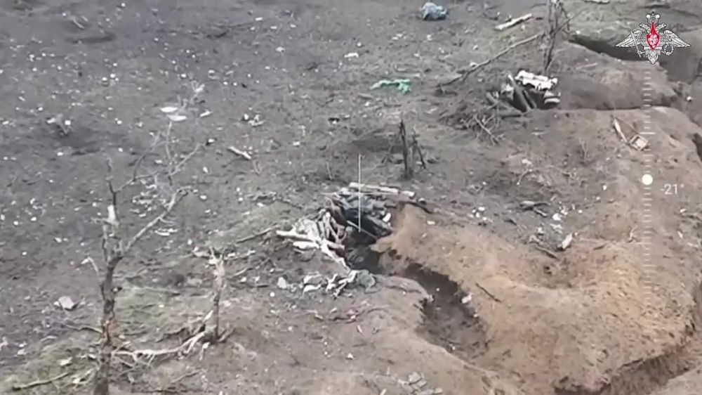 ������� FPV-������ ��������� ������� ������ ���������� �� ����������� �����������