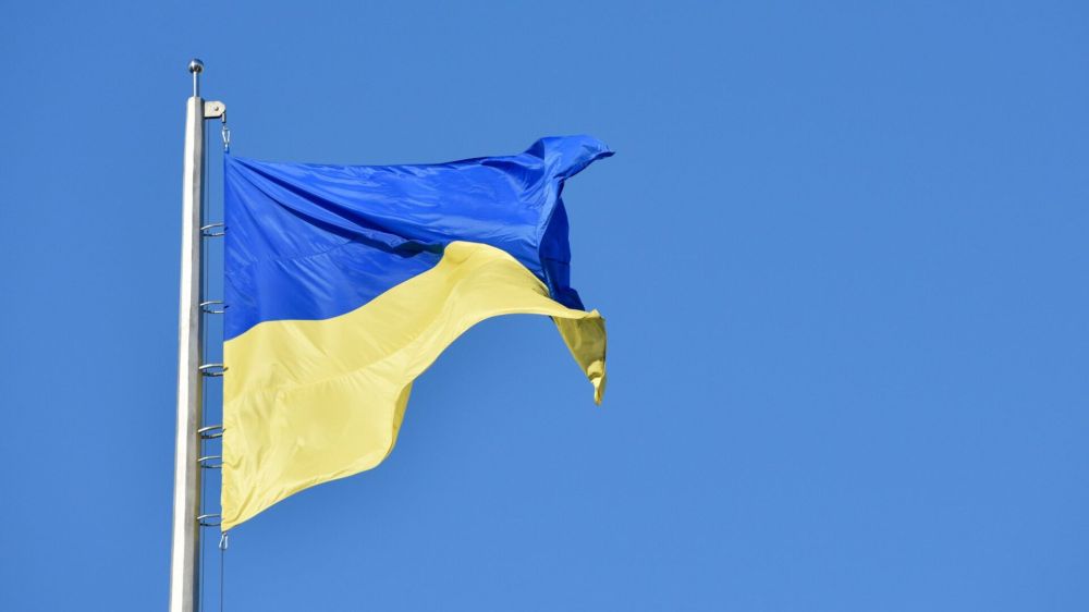 ����������� ������� � 2014 ����: ������� ��������� � ��������� �������� ��� � ��������